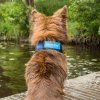 4322 Cooling Bandana WEB LIFESTYLE 01 2048x2048.jpg