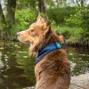 4322 Cooling Bandana WEB LIFESTYLE 02 2048x2048.jpg