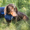 4322 Cooling Bandana WEB LIFESTYLE 03 2048x2048.jpg