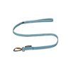 bungee leash ice blue