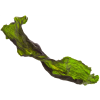 Marp Holistic Kelpa
