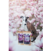 Marp Holistic Holistic White Mix pamlsky pro psy
