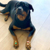 HappyPets Kekse shop 04 3000x3000.jpg