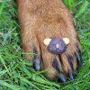 HappyPets Kekse shop 01 661e6d57 1fbd 4d1a 8bb1 c44993f7fd63 3000x3000