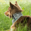 3232 Draco High Visibility Bandana Grey 4 WEB.jpg