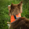 3232 Draco High Visibility Bandana Orange 4 WEB.jpg