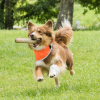 3232 Draco High Visibility Bandana Orange 5 WEB.jpg