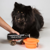 3605BackonTrackDogBowlOrangeDetail01Web.jpg