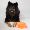 3605BackonTrackDogBowlOrangeDetail03Web.jpg
