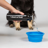 3606CoolonTrackDogBowlBlue01Detail01Web.jpg