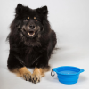 3606CoolonTrackDogBowlBlue01Detail03Web.jpg