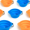36053606DogBowls02Web.jpg