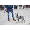 woman dog leash collar recycled lebeddie4209