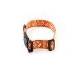 dog collar recycled fidlock terracota lebeddie0058