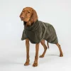3241 BAY Dry Dog Coat Olive Detail 02 Web 2048x2048.jpg