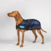 4327CoolonTrackCoolingDogCoat2.0Detail01Web.jpg