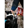 Marp Treats Buffalo Jerky sušený jícen 100 g