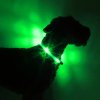 leuchthalsband leuchtie hund gruen 01