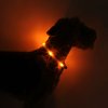 leuchthalsband leuchtie hund sunsetorange 01 2