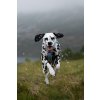 Non-stop dogwear Trekking line harness CLIP'N™, postroj pro psy (detail 2)
