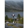 Non-stop dogwear Trekking line harness CLIP'N™, postroj pro psy (detail 3)