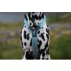 Non-stop dogwear Trekking line harness CLIP'N™, postroj pro psy (detail 4)