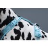 Non-stop dogwear Trekking line harness CLIP'N™, postroj pro psy (detail 5)