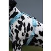 Non-stop dogwear Trekking line harness CLIP'N™, postroj pro psy (detail 6)