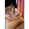 Non-stop dogwear Trekking line harness CLIP'N™, postroj pro psy (detail 10)