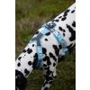 Non-stop dogwear Trekking line harness CLIP'N™, postroj pro psy (detail 7)
