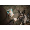 Carnilove Dog Semi Moist Snack Carp & Thyme 200 g