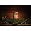 Carnilove Dog Crunchy Snack Wild Boar & Rosehips 200 g
