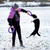 puller a dog puller mikina