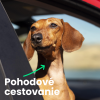 Fdsdfsfsfdsfdfdfds 800x800 2