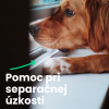 Dfsfddsffds 800x800 2